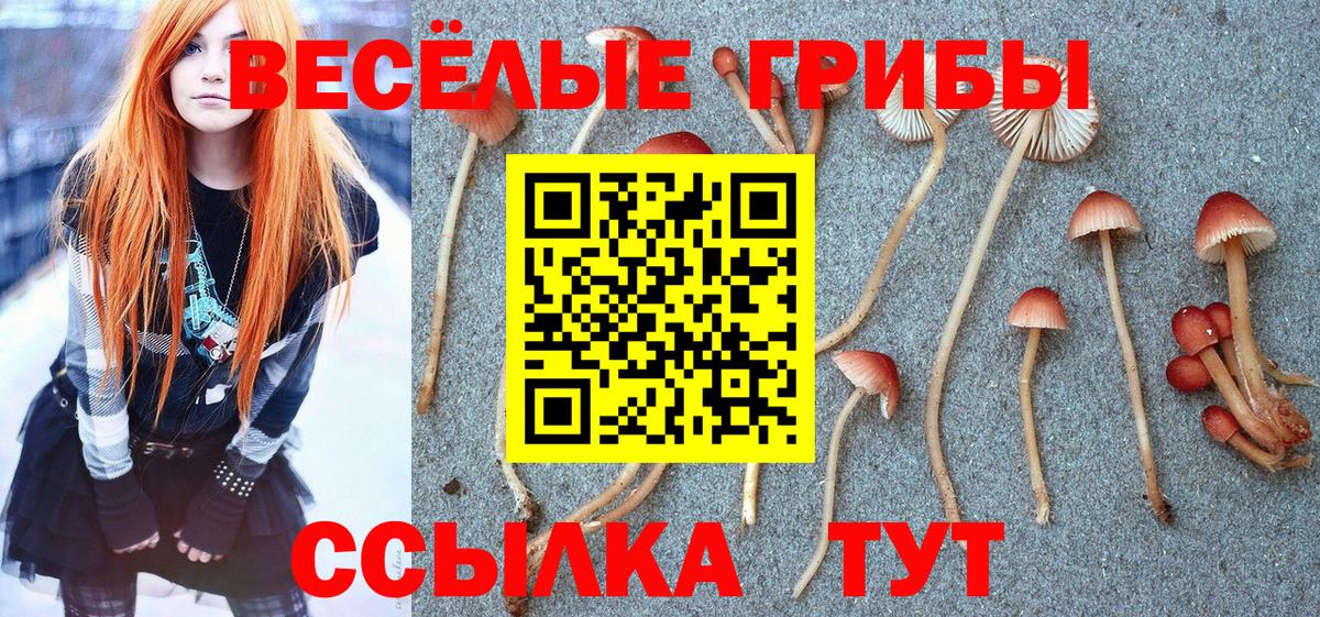 Галлюциногенные грибы Psilocybine cubensis  Вход с VPN  Приморско-Ахтарск 