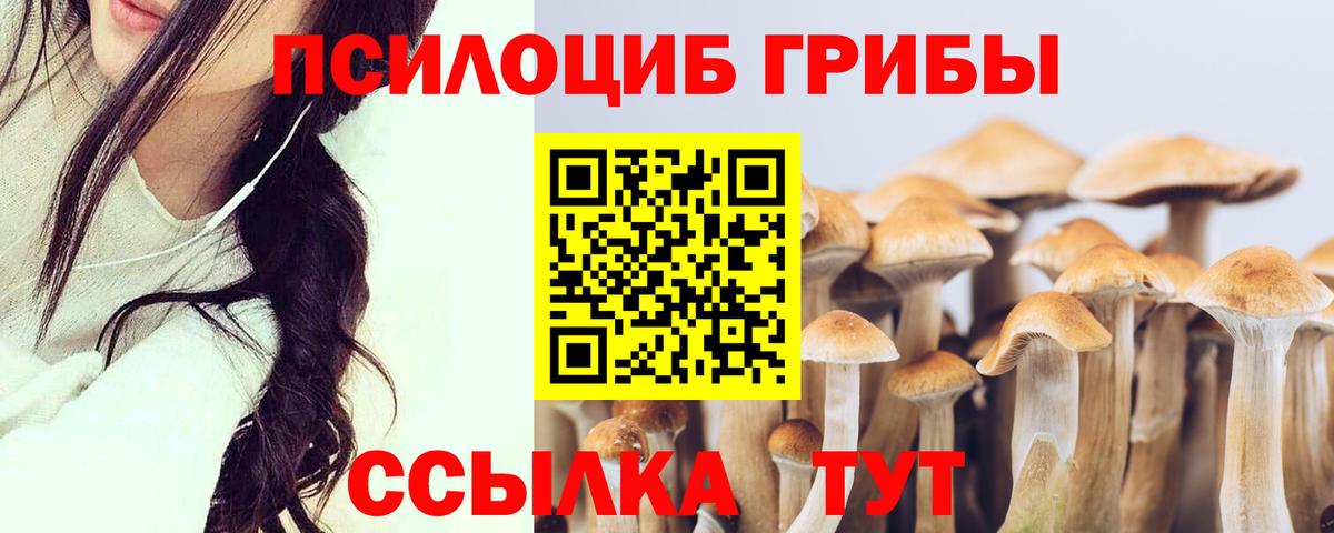 Псилоцибиновые грибы MAGIC MUSHROOMS Приморско-Ахтарск