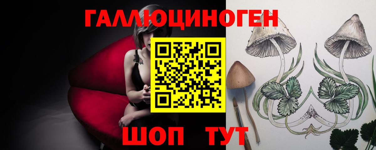 Приморско-Ахтарск  ЭКСТАЗИ  Каннабис  КЕТАМИН  Меф   Гашиш  MDMA  Вход с VPN  Меф 